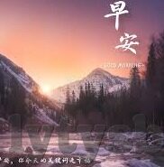 91麻豆视频下载-用心品味互联网背后的多彩世界——探索91麻豆视频下载