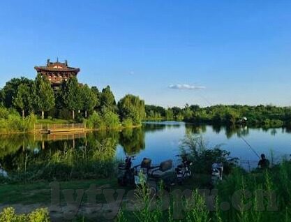 成人熟女国产麻豆91精东-